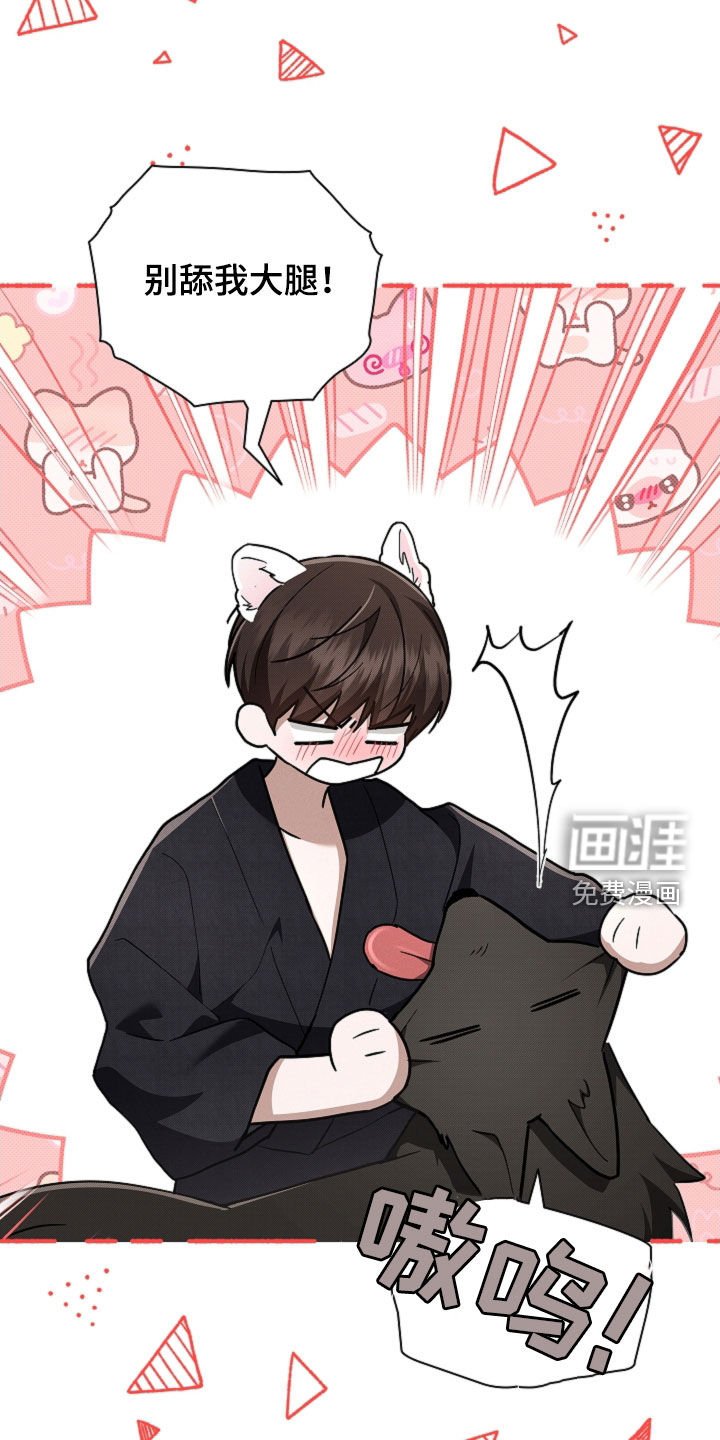 第87章：【番外】代表监视者