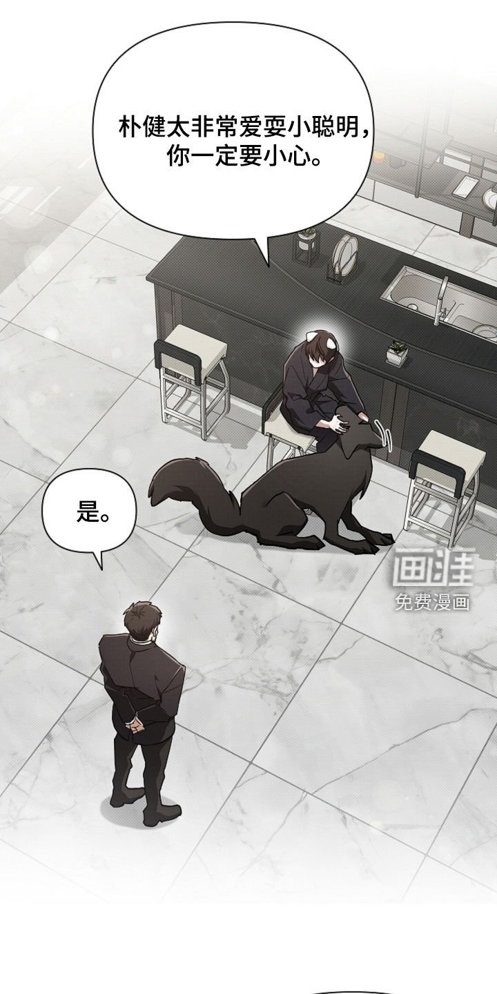 第87章：【番外】代表监视者
