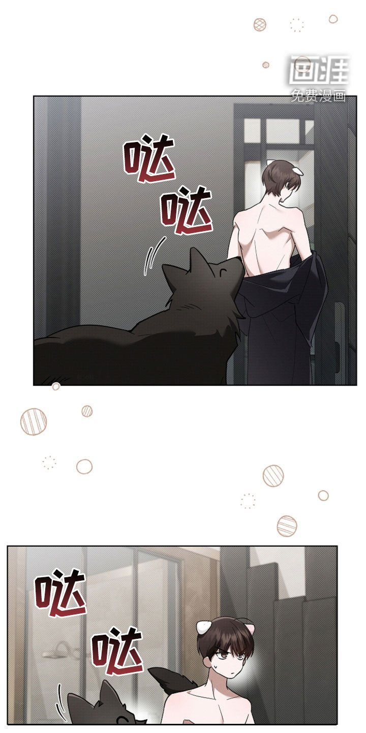 第88章：【番外】真固执