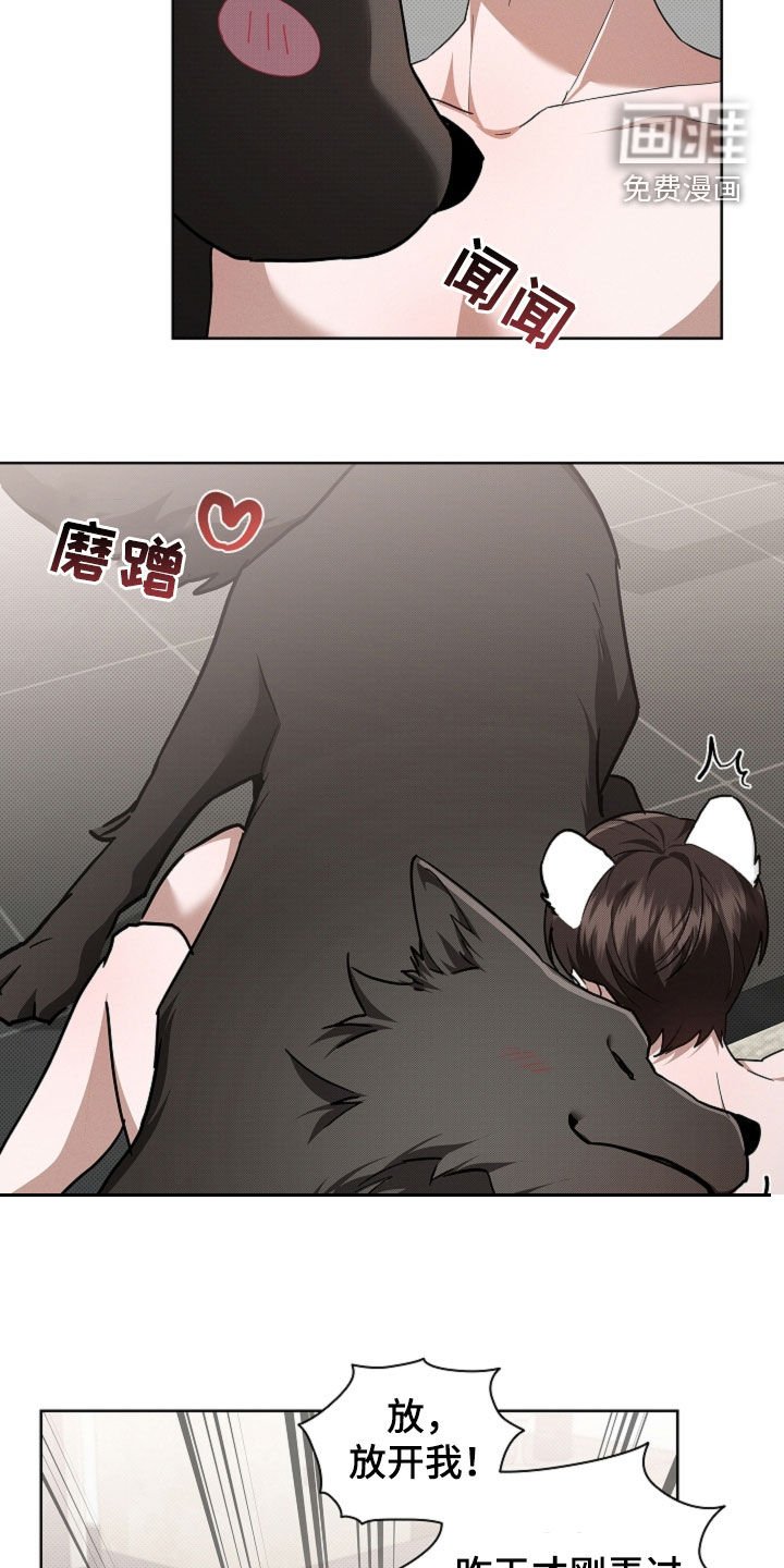 第88章：【番外】真固执