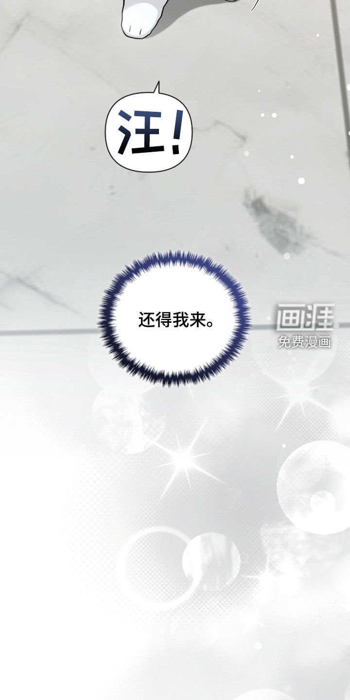 第90章：【番外】还得我来