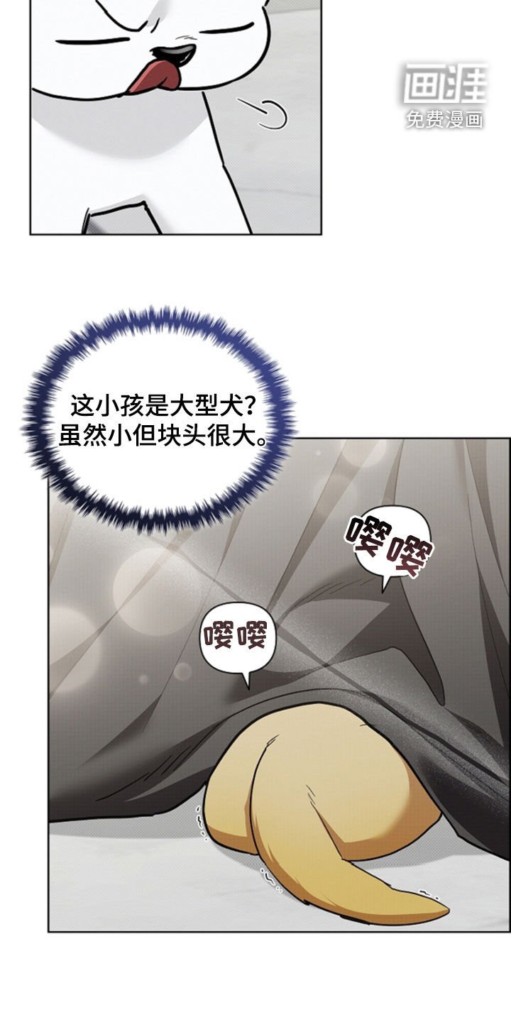 第91章：【番外】带娃