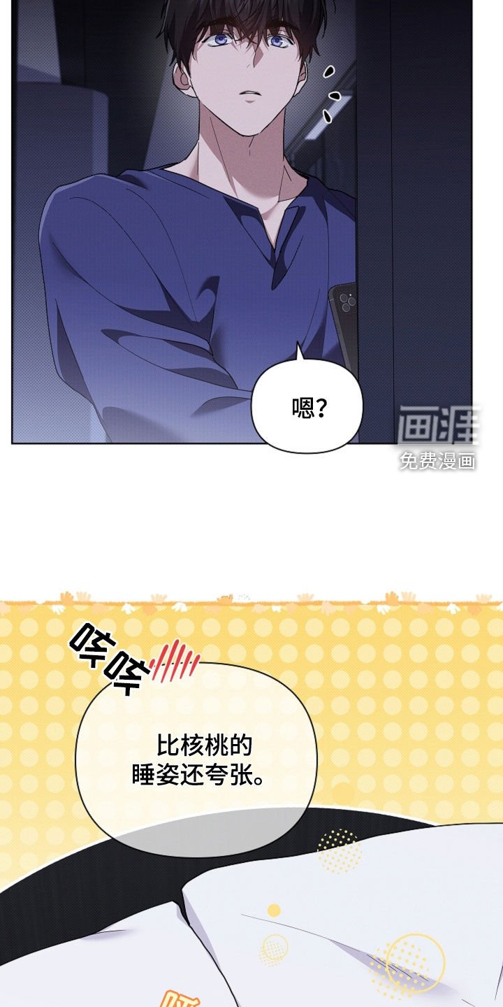 第96章：【番外】品种
