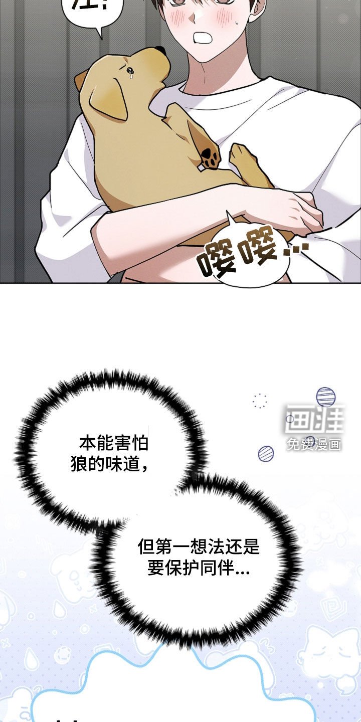 第96章：【番外】品种