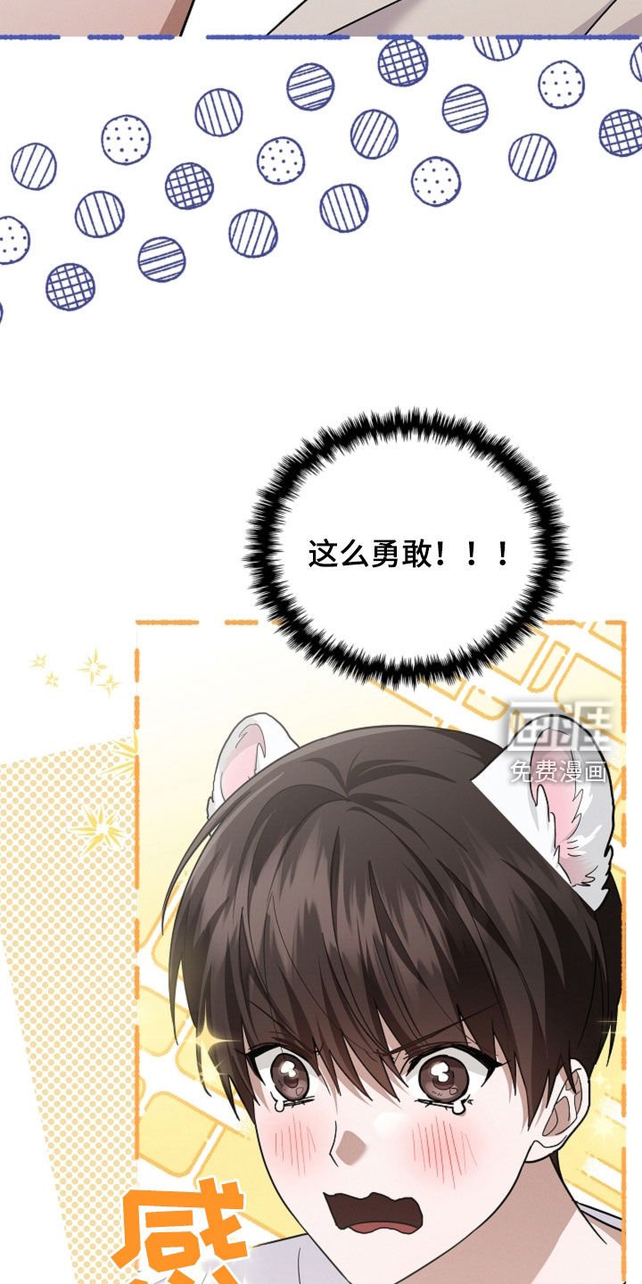 第96章：【番外】品种
