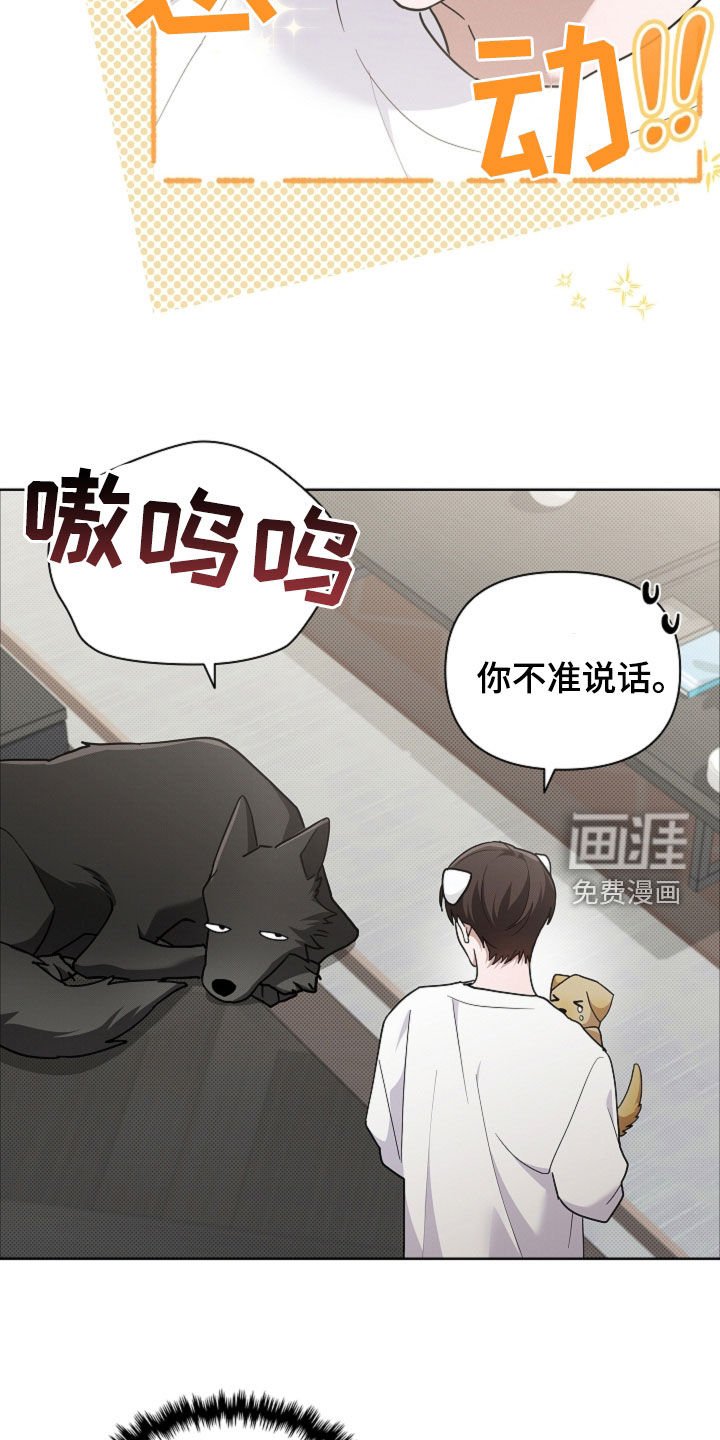 第96章：【番外】品种