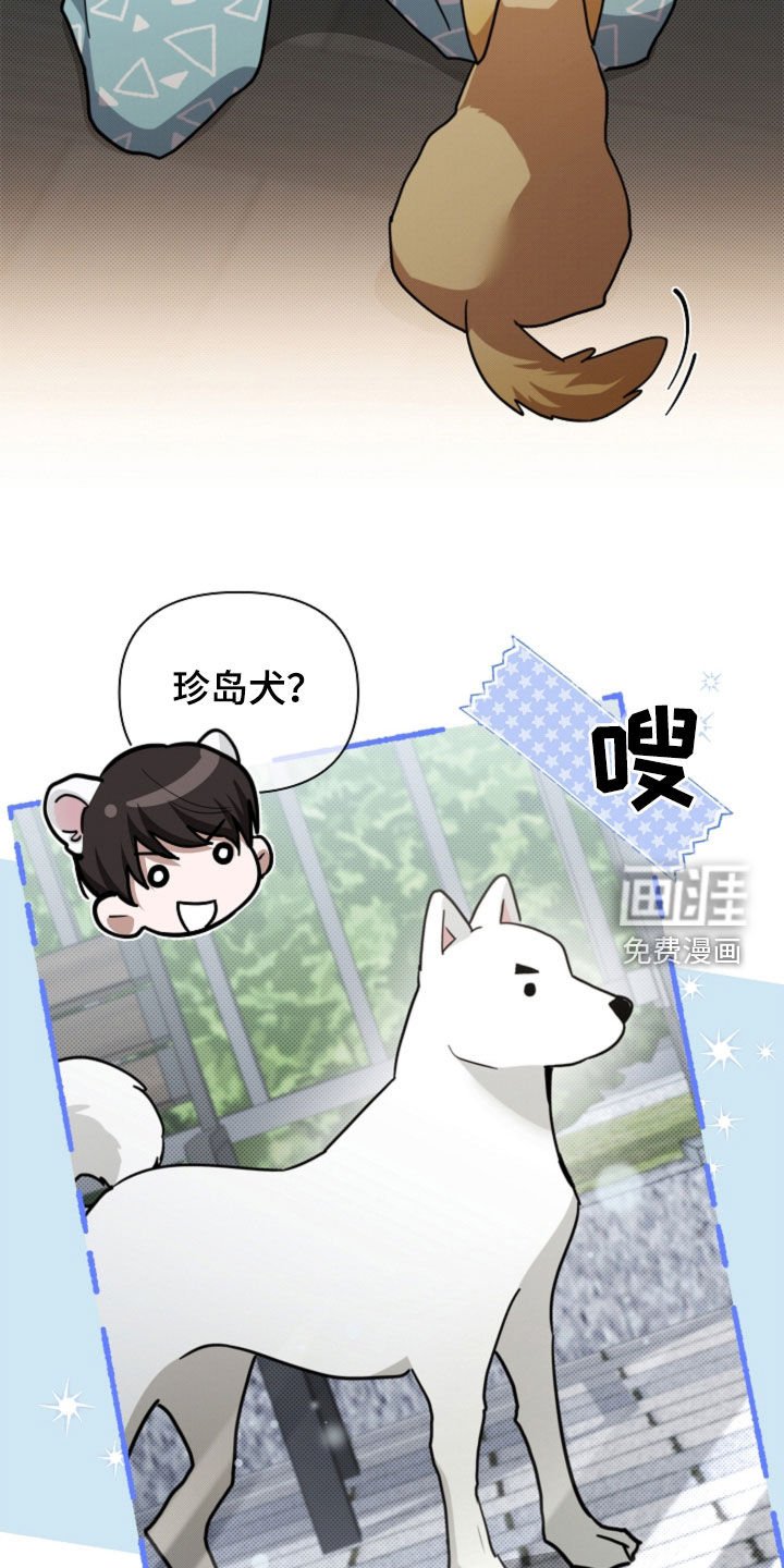 第96章：【番外】品种