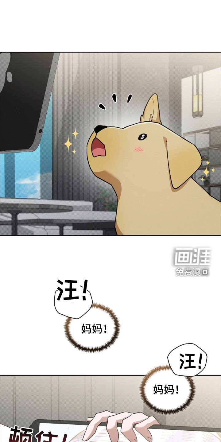 第96章：【番外】品种