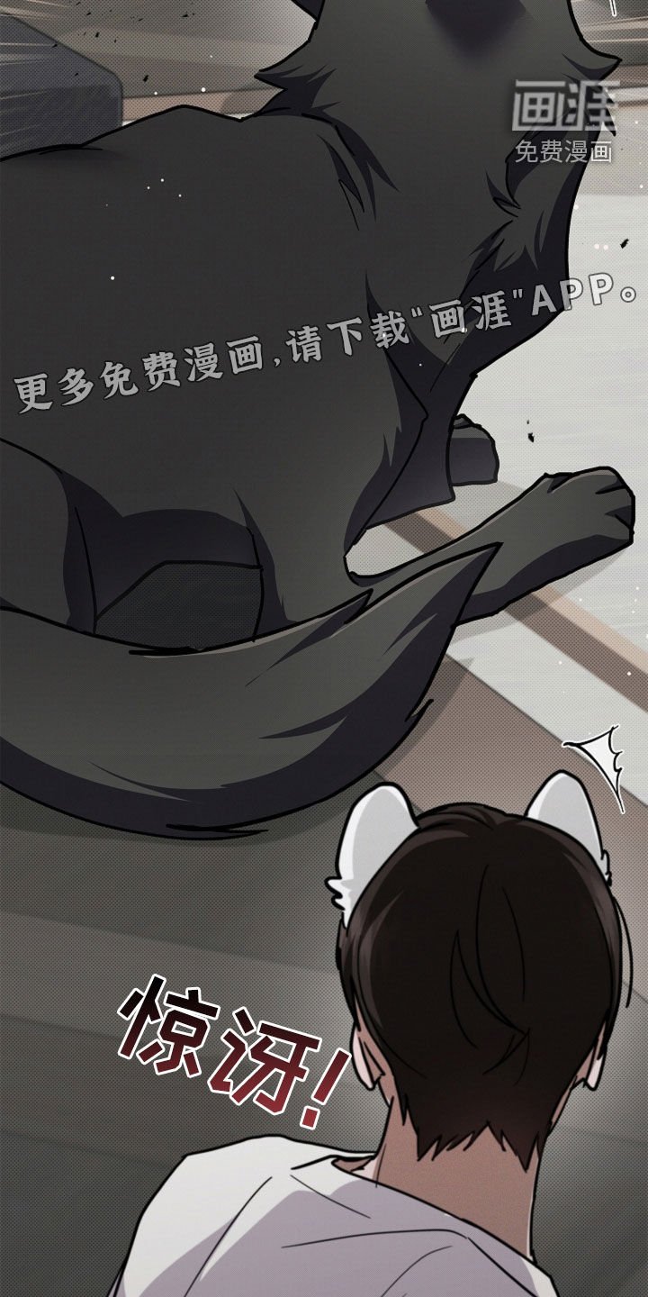 第97章：【番外】过来抱