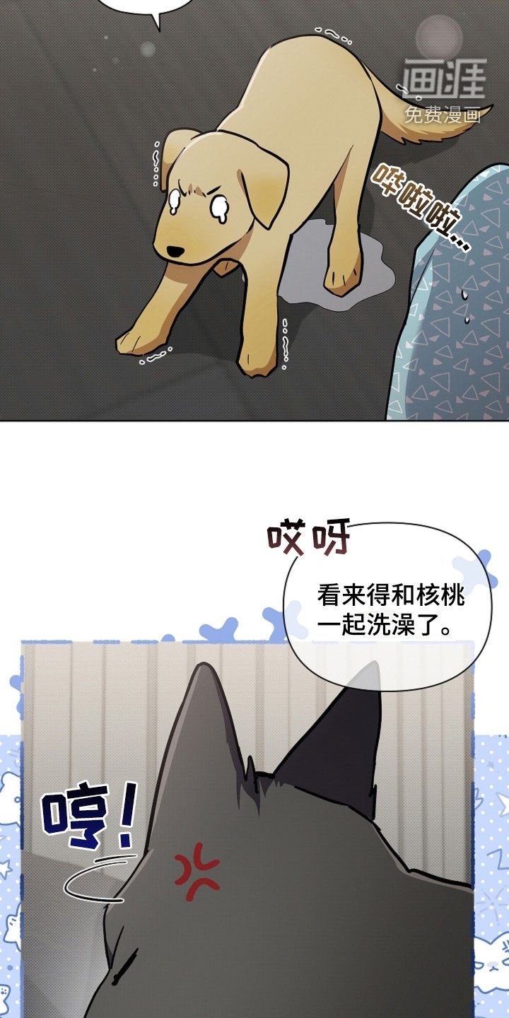 第97章：【番外】过来抱