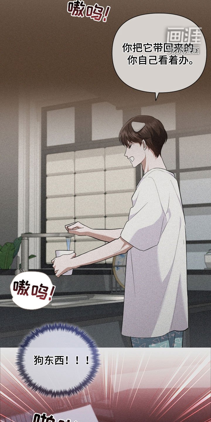 第97章：【番外】过来抱