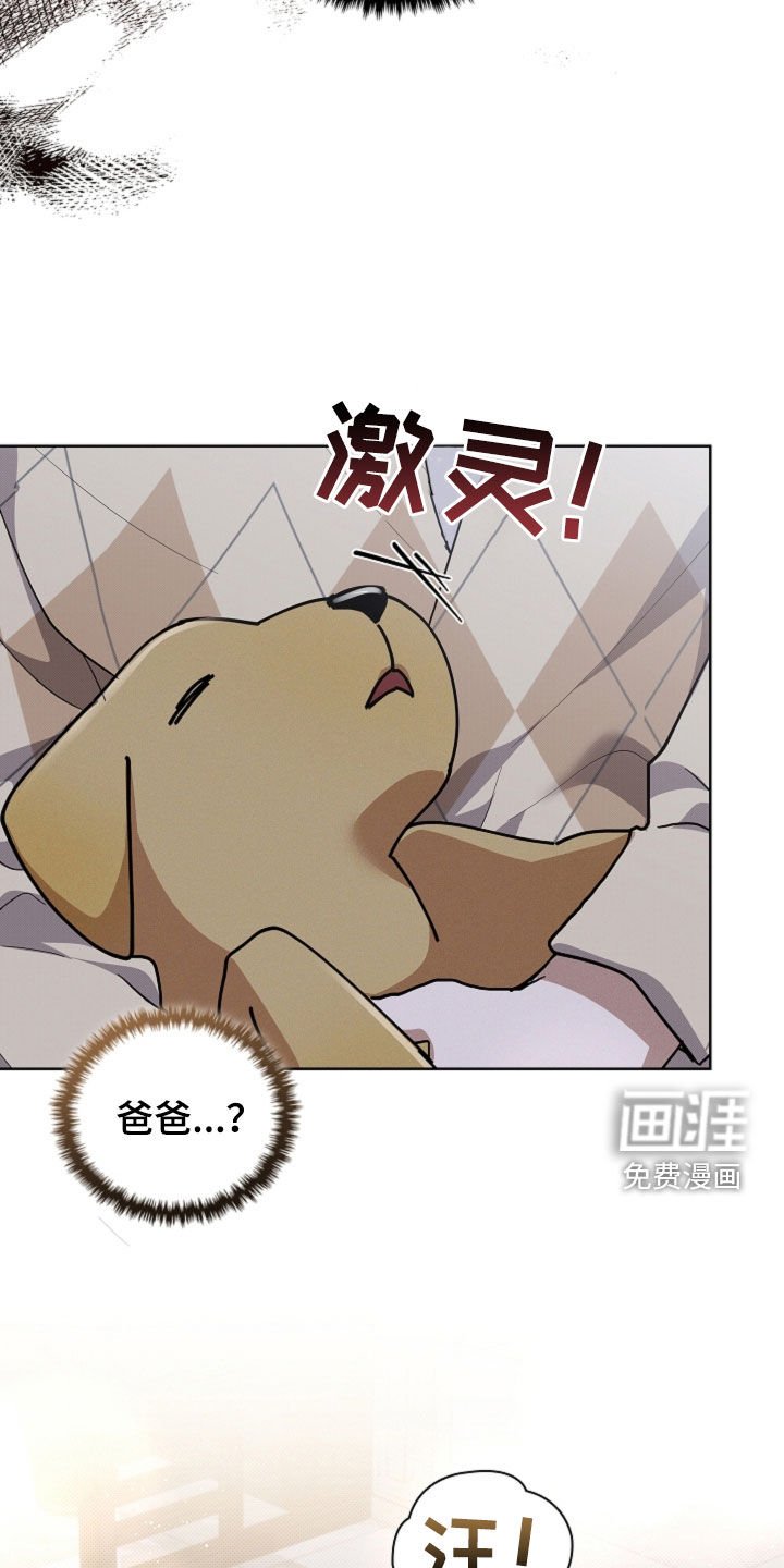 第99章：【番外】质问