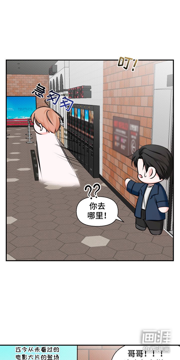 第7章：看电影