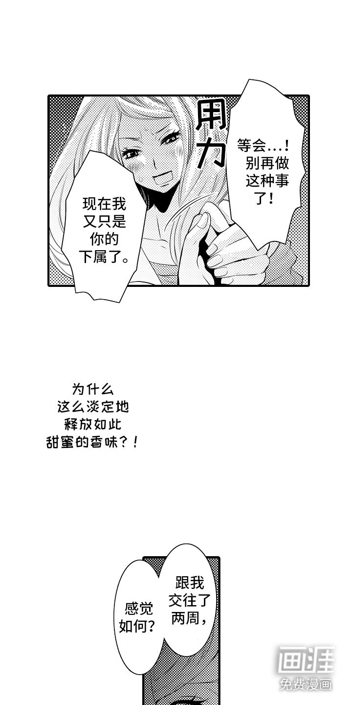 第11章：合约恋人：非常甜（完）