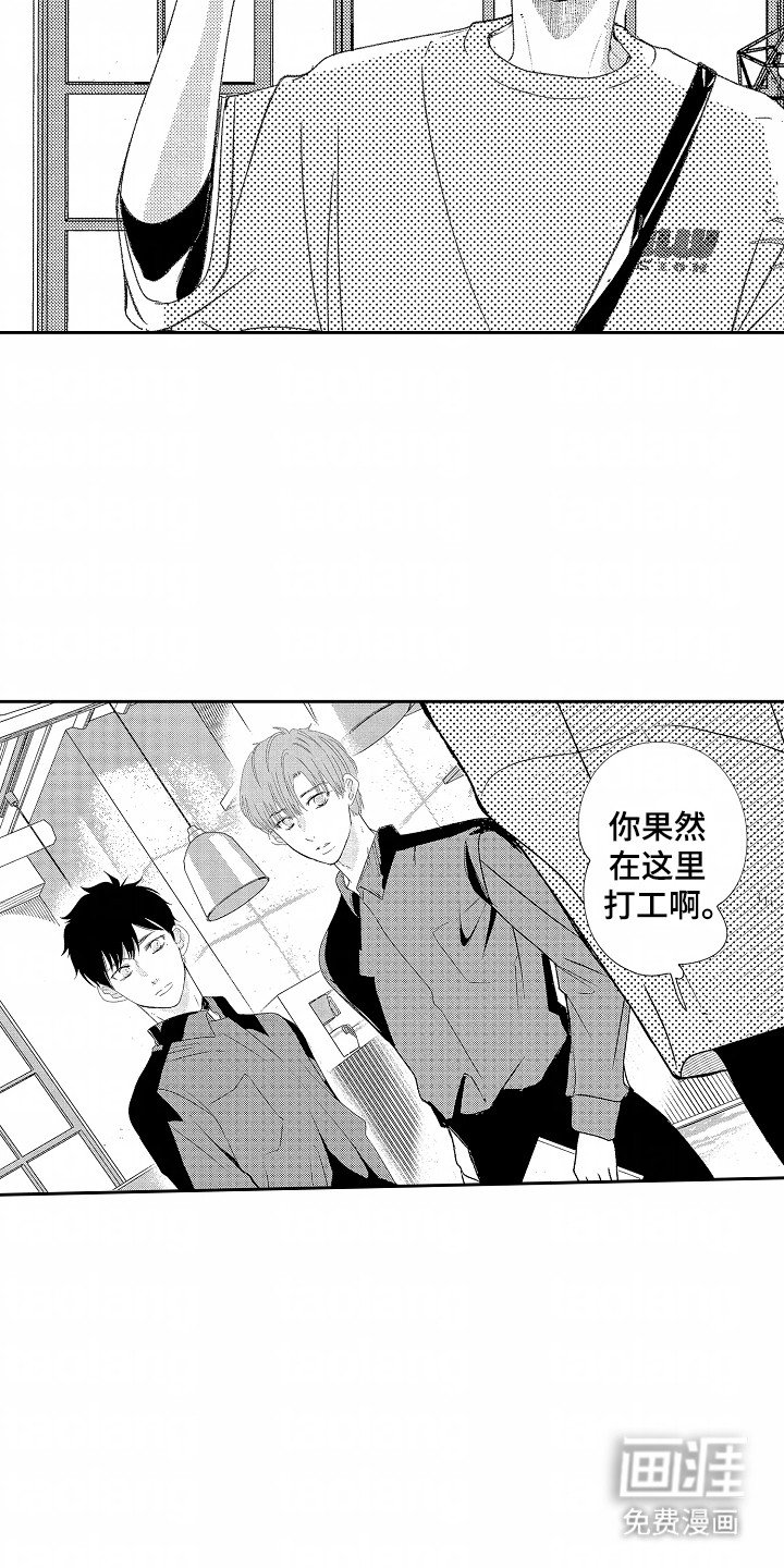 第17章：特殊