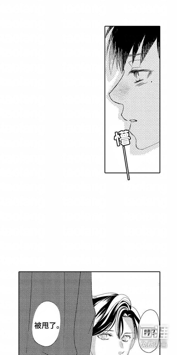 第19章：和其他人试试