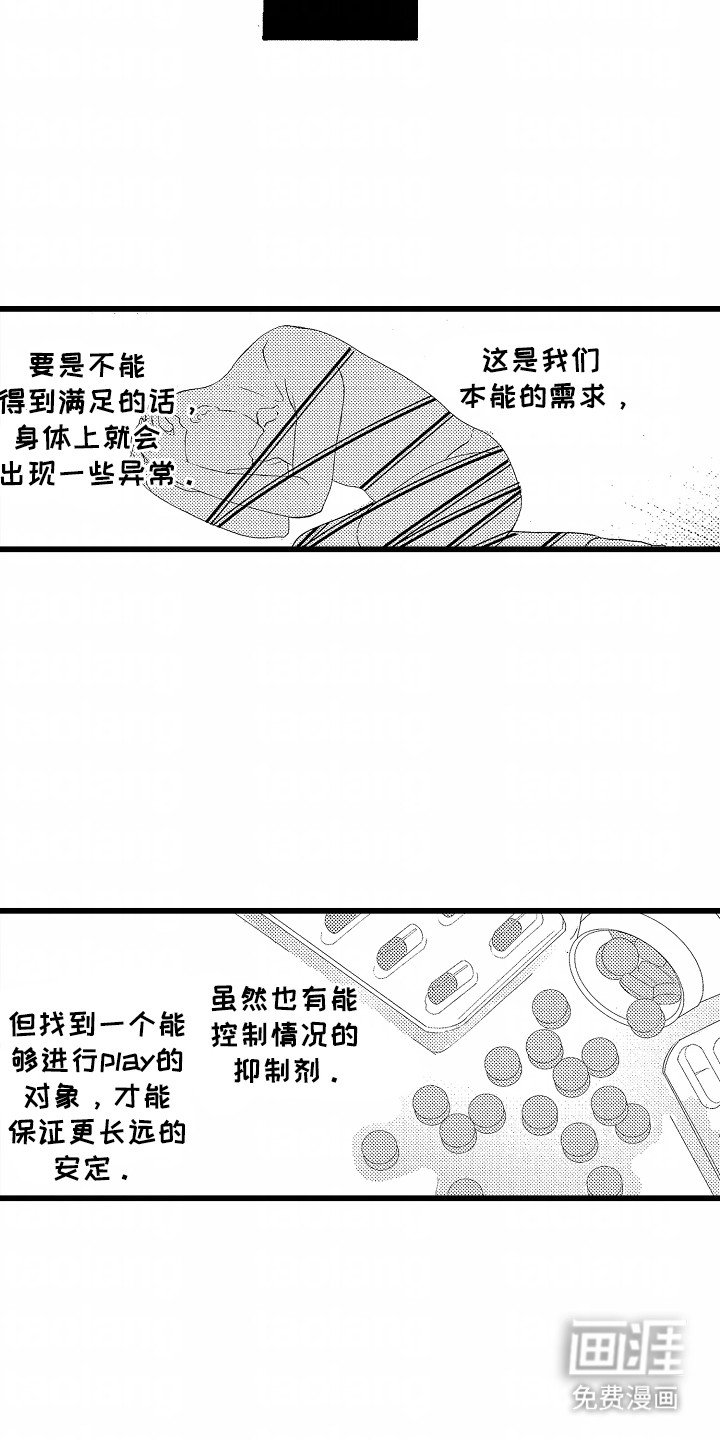 第2章：合作伙伴