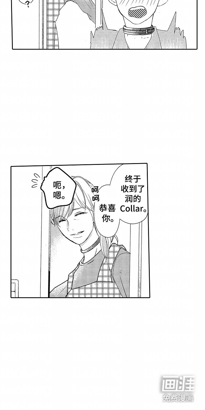 第23章：伴侣