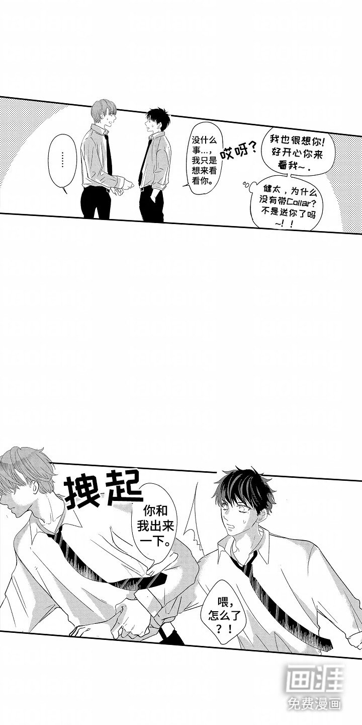 第23章：伴侣
