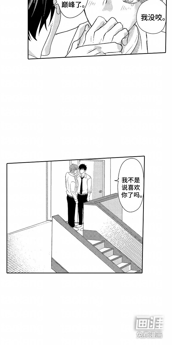 第23章：伴侣