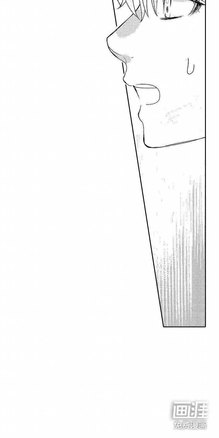 第23章：伴侣