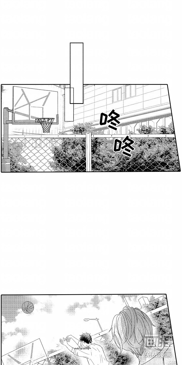 第24章：篮球