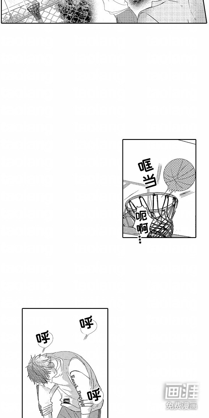 第24章：篮球
