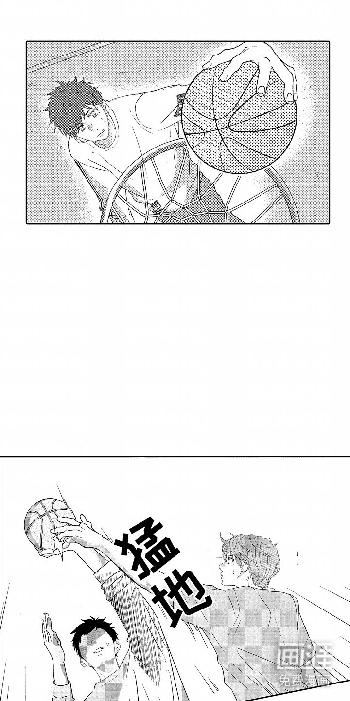 第24章：篮球