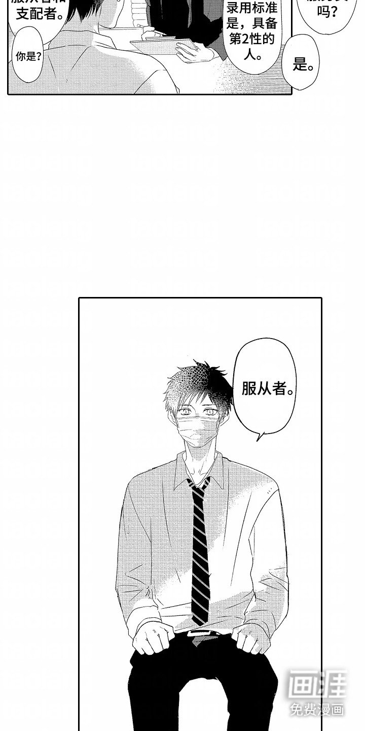 第8章：找工作