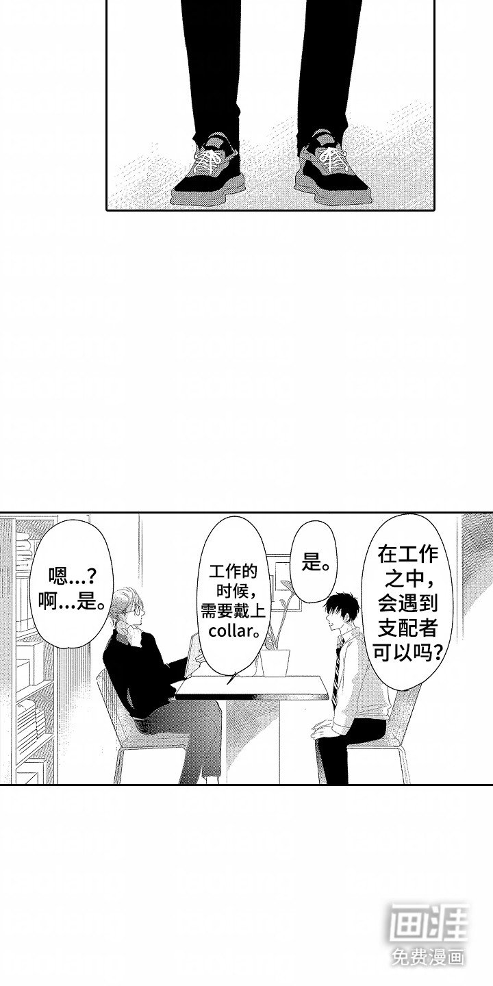 第8章：找工作