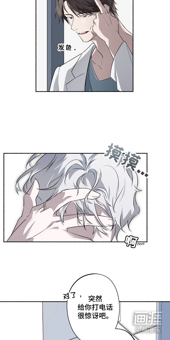第1章：向导训练生