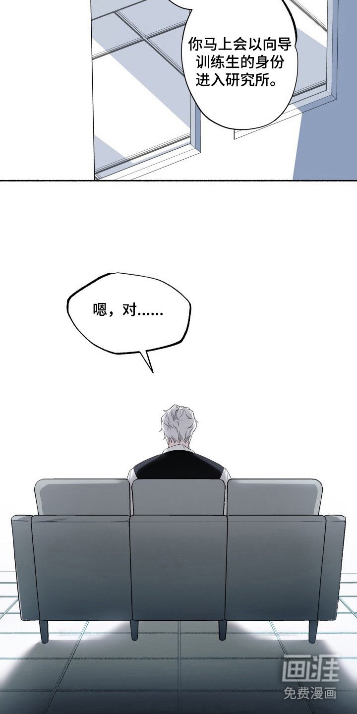 第1章：向导训练生