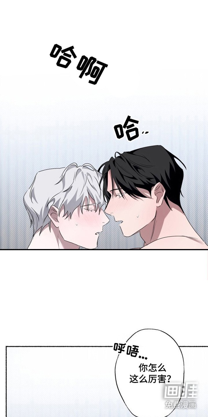 第10章：测试结束