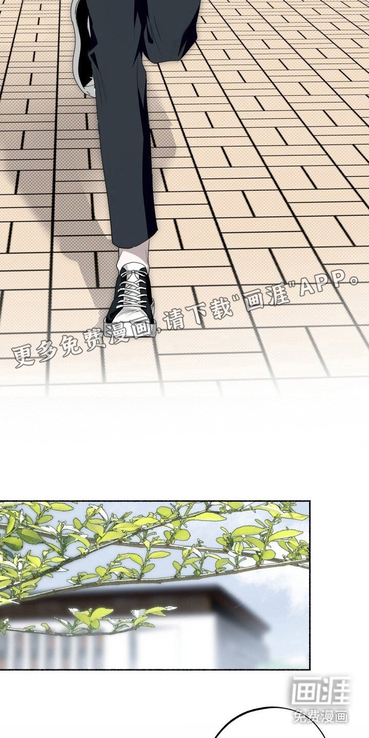 第11章：固执