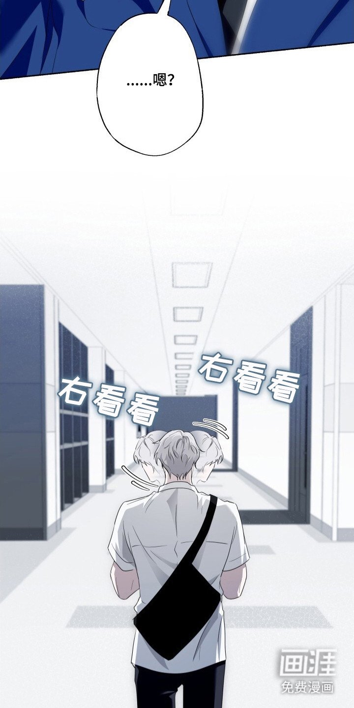 第12章：队长