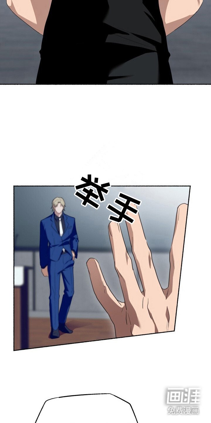 第13章：限量收藏款