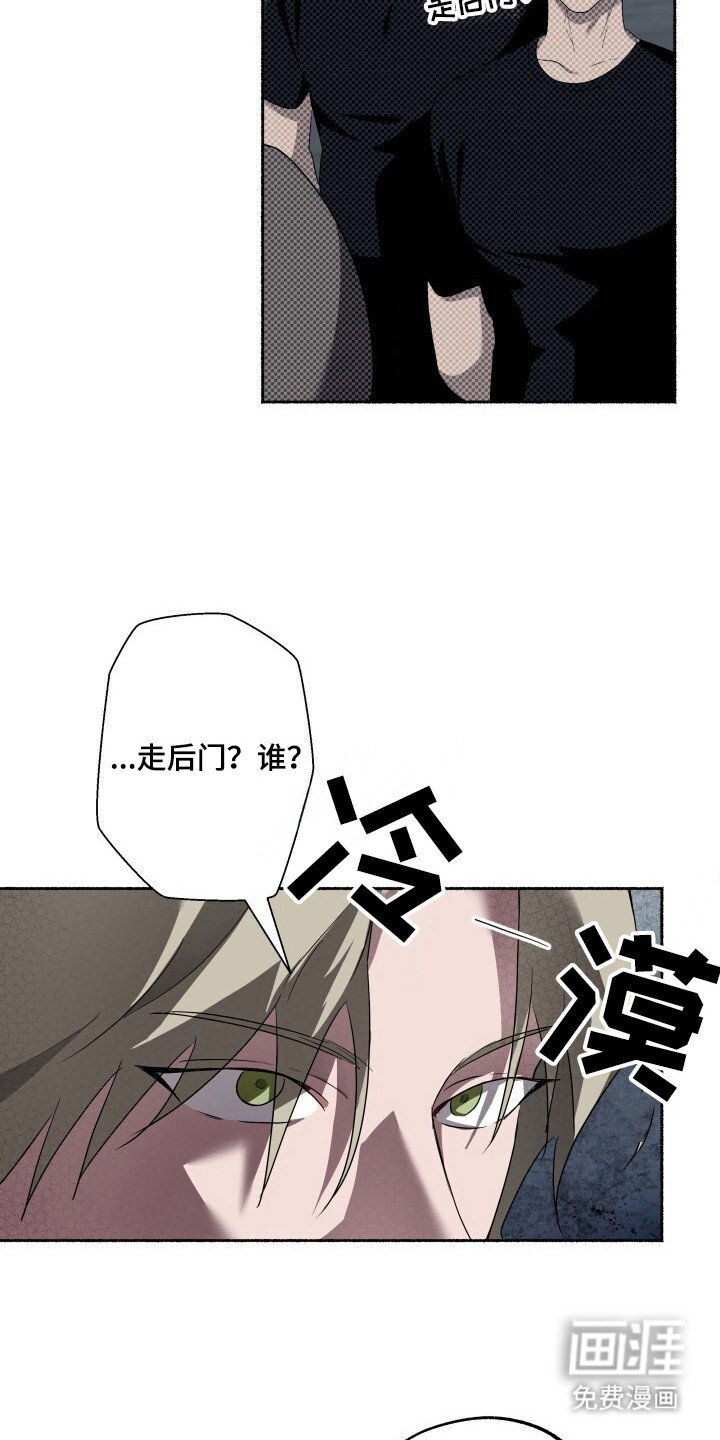 第13章：限量收藏款