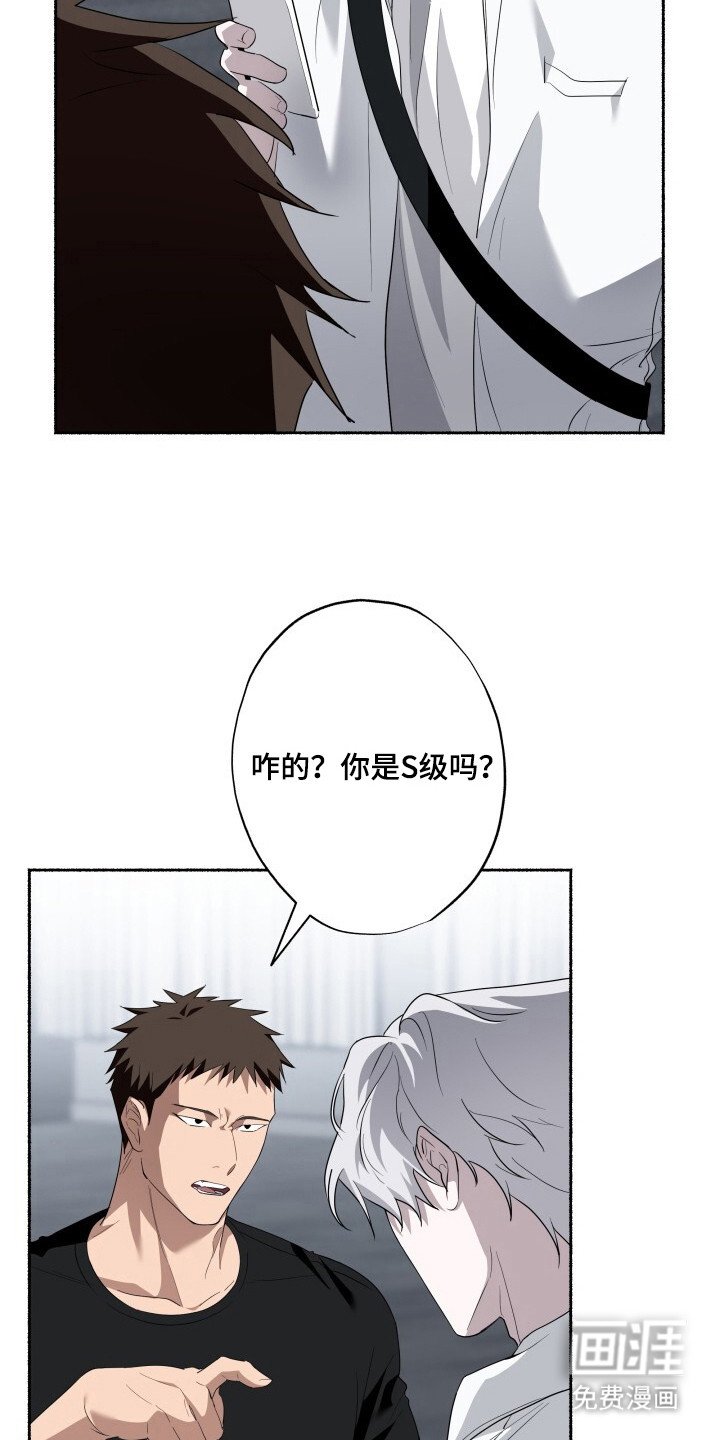 第13章：限量收藏款