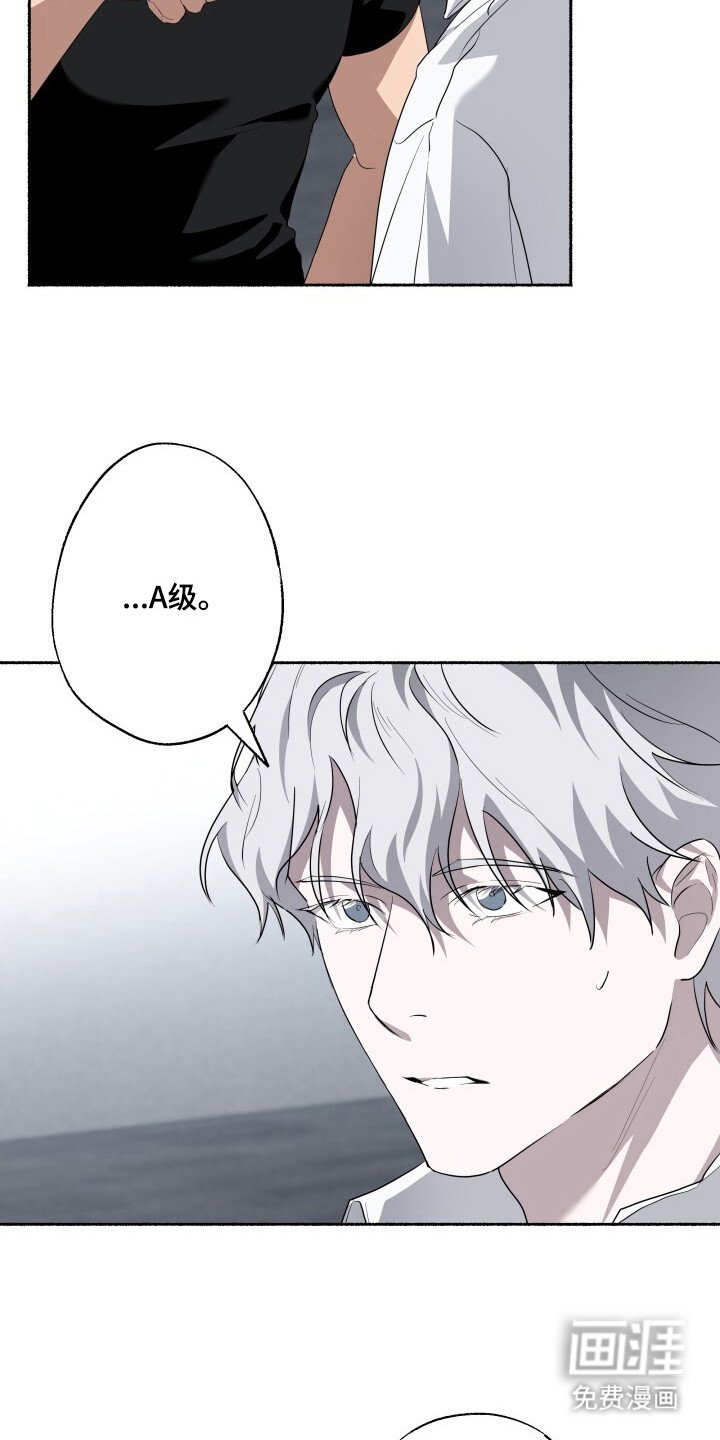 第13章：限量收藏款