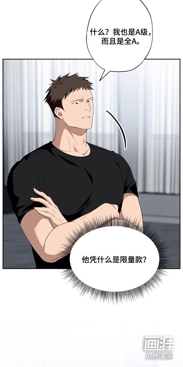 第13章：限量收藏款