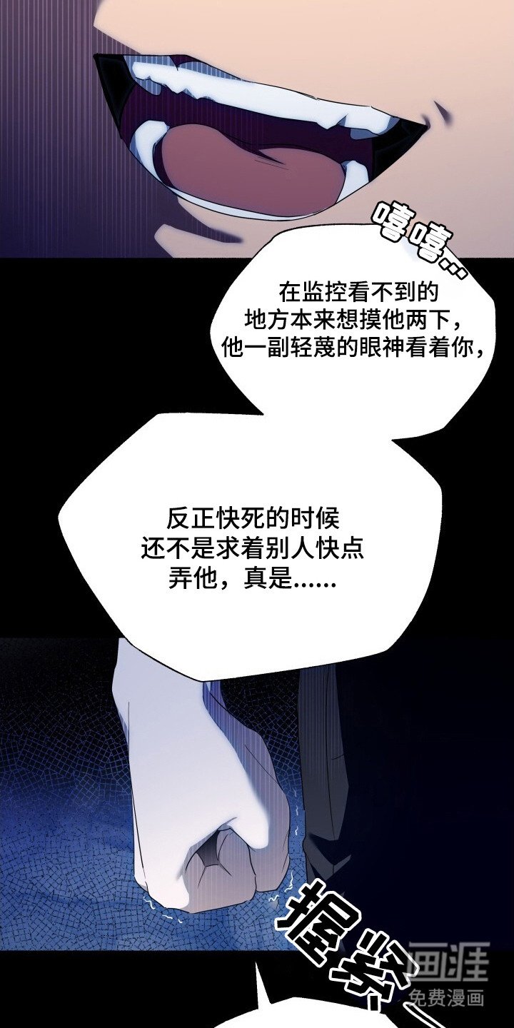 第13章：限量收藏款