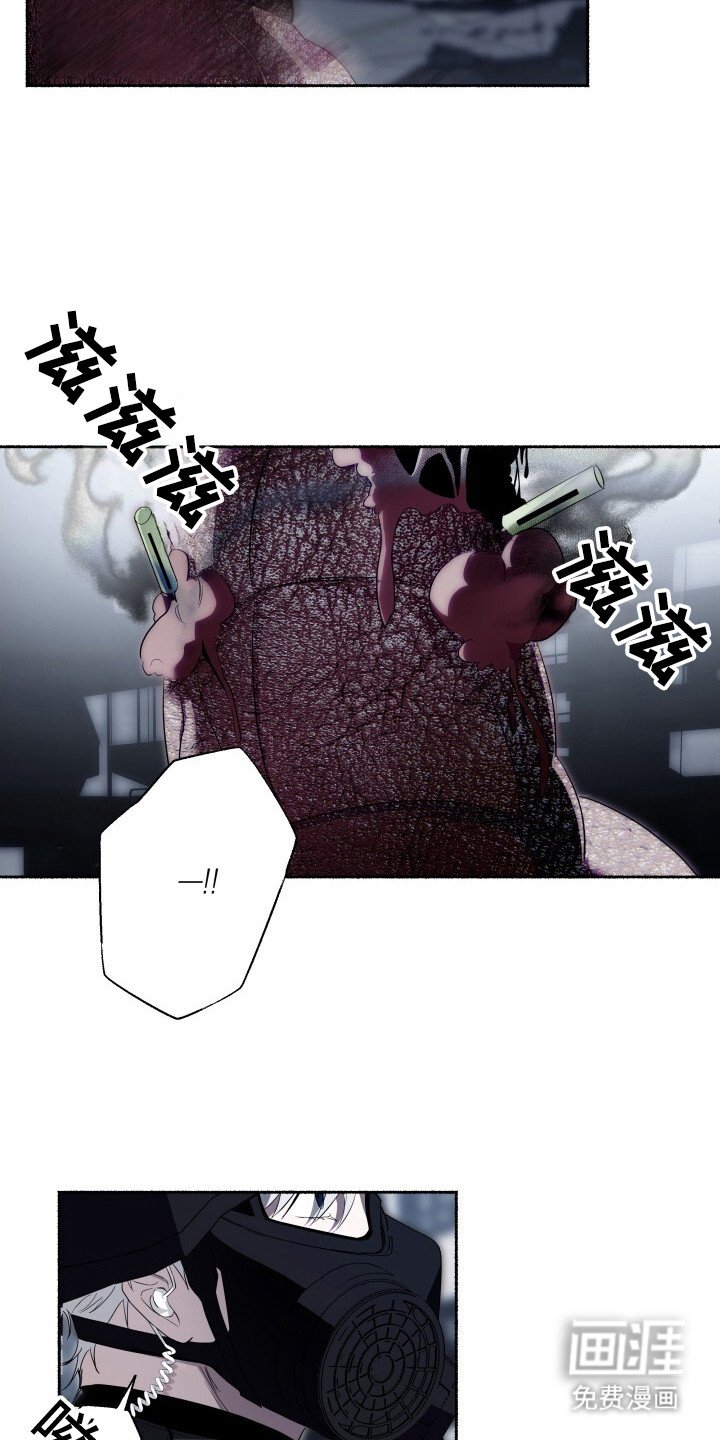 第16章：扫荡