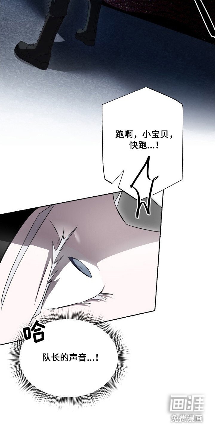 第16章：扫荡