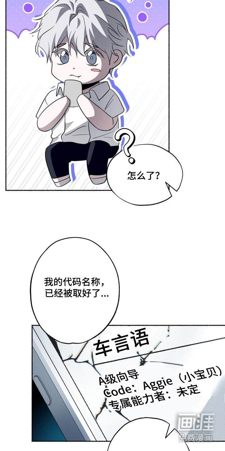 第19章：代号