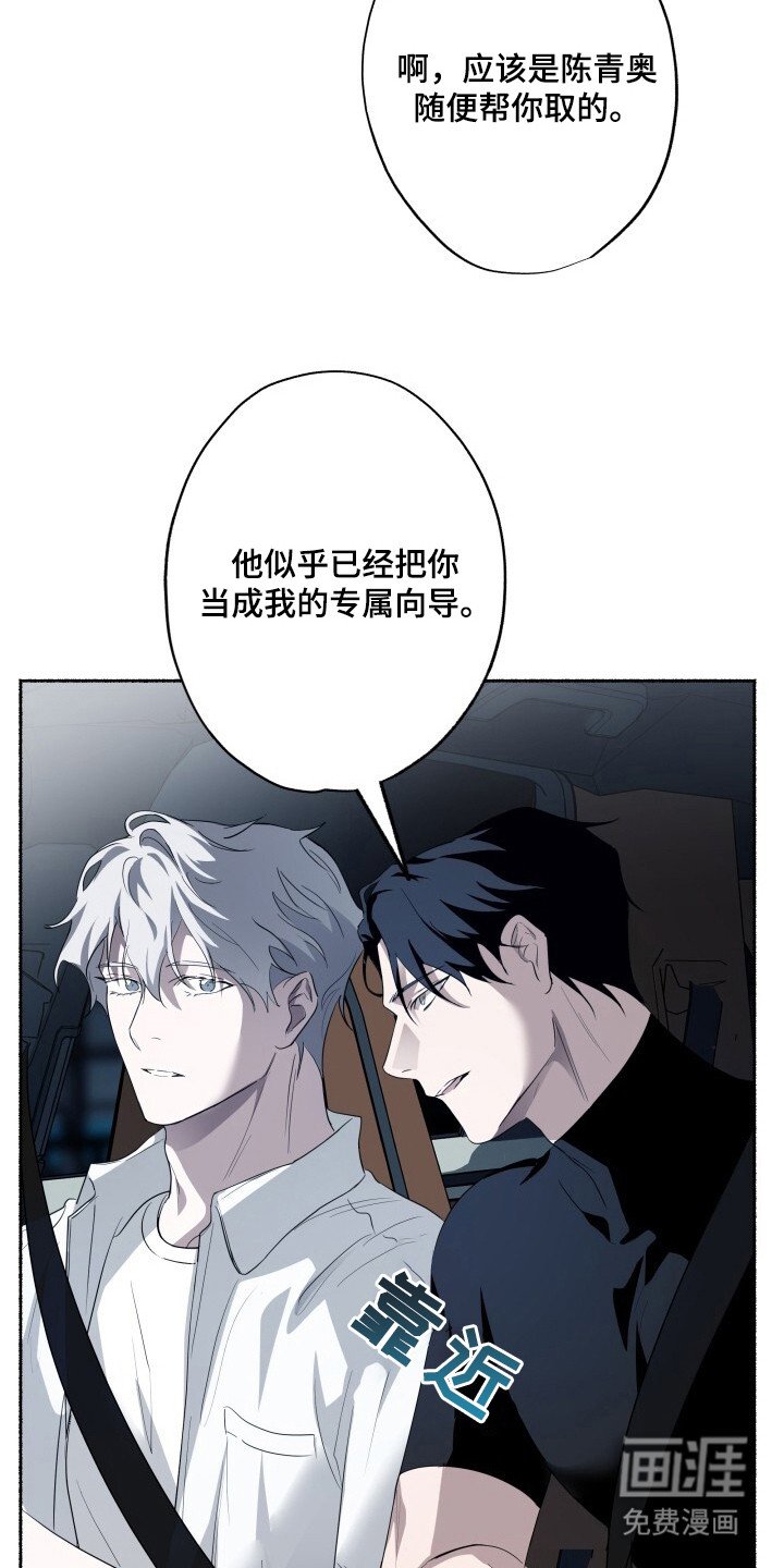 第19章：代号