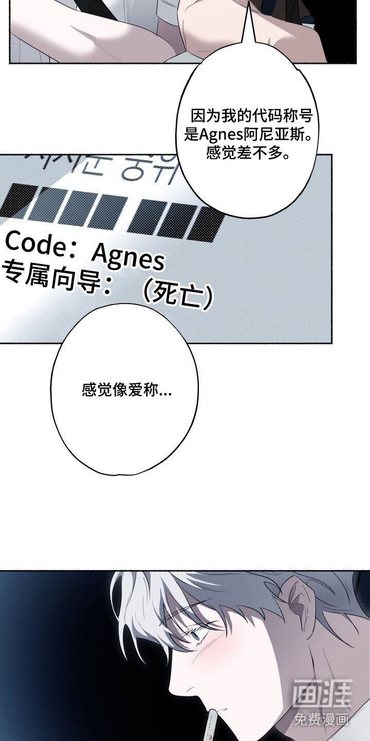 第19章：代号