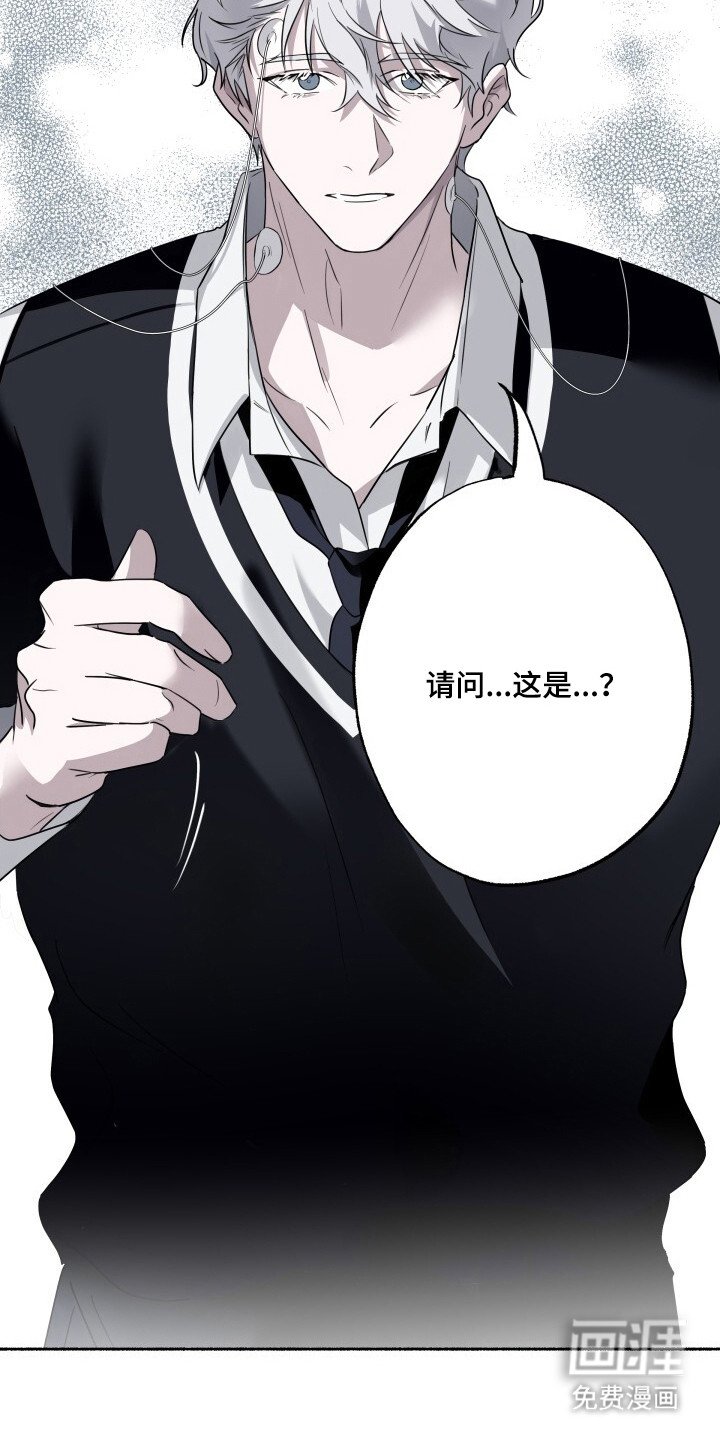 第2章：配对测试