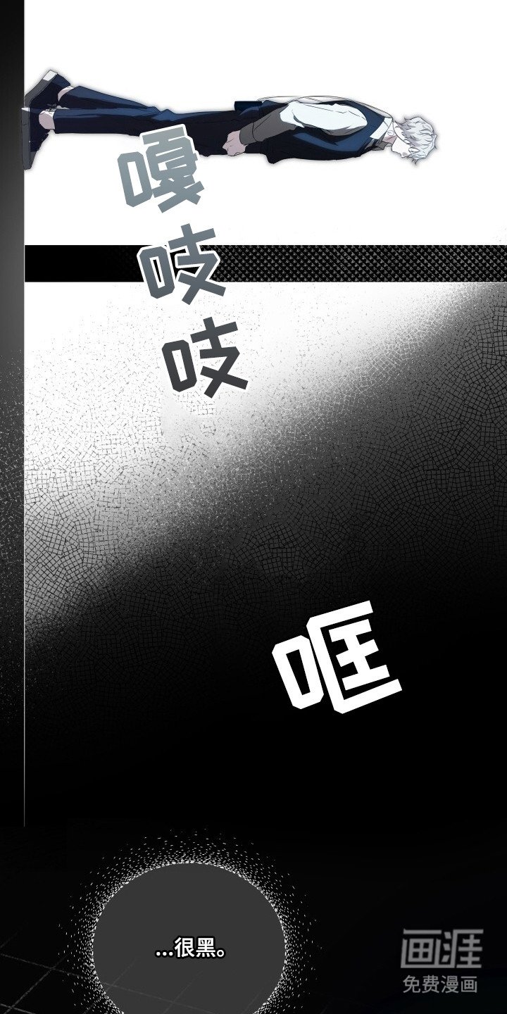 第2章：配对测试