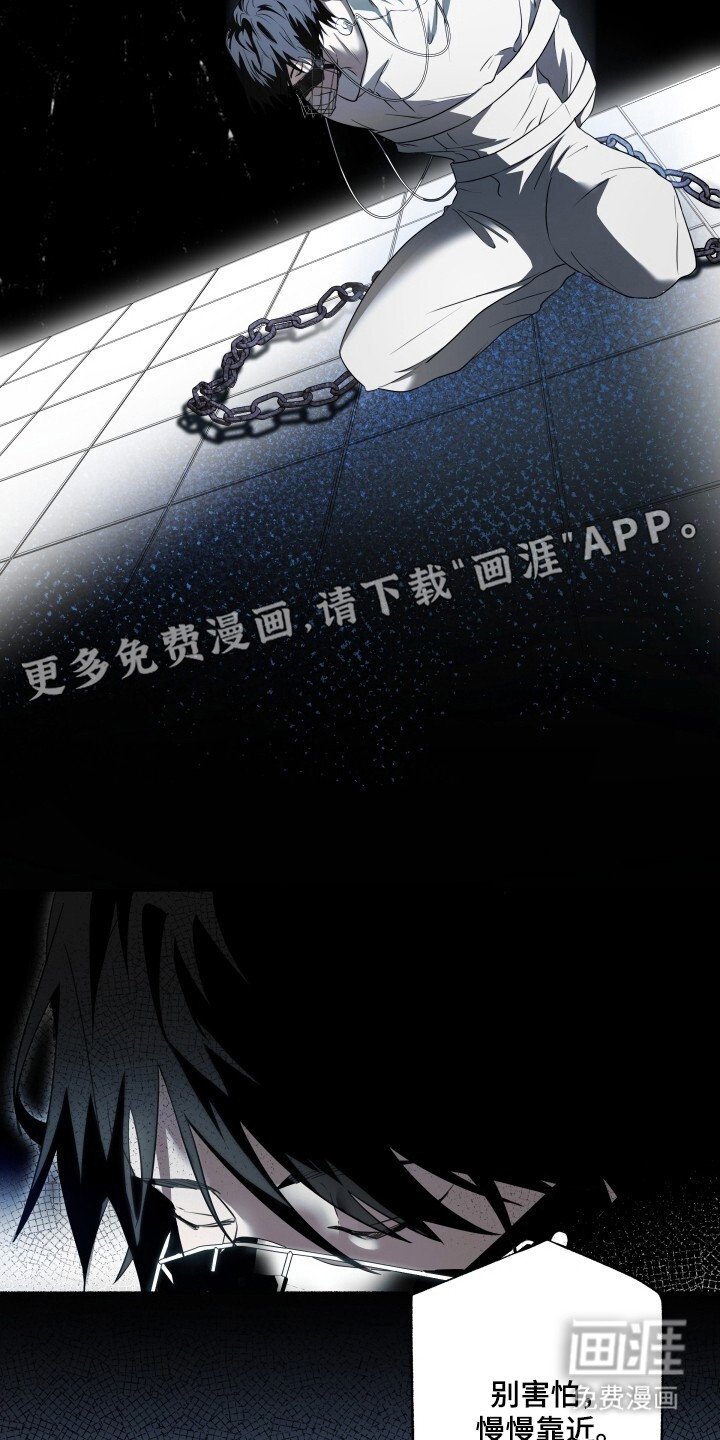 第2章：配对测试