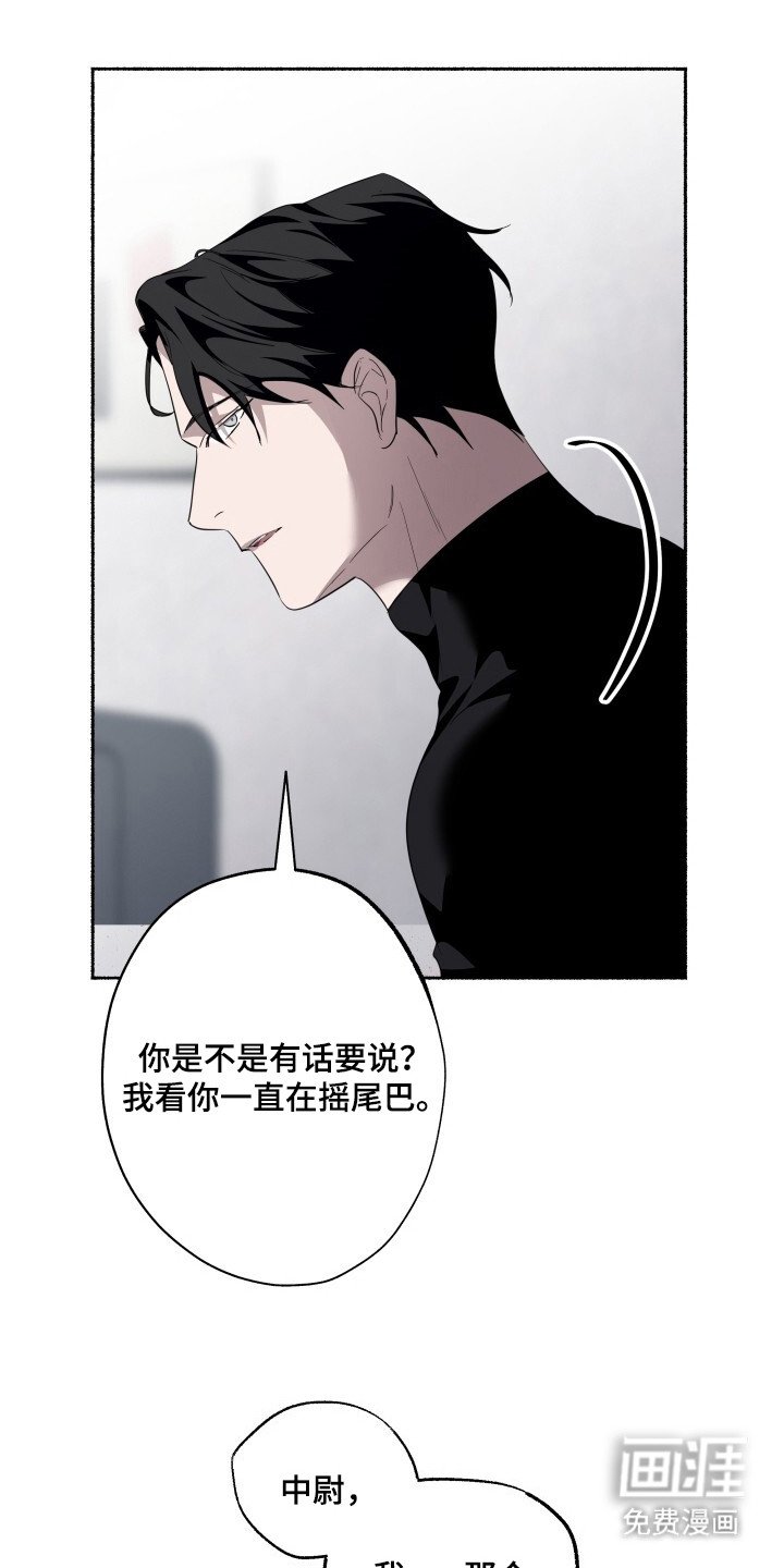 第21章：产生感情
